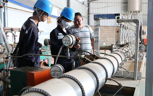 電力護航5萬畝軟籽石榴興旺發展